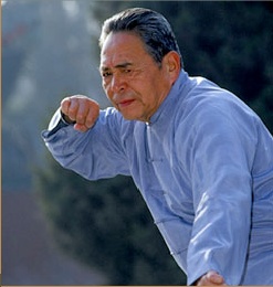 Maître Feng Zhi Qiang